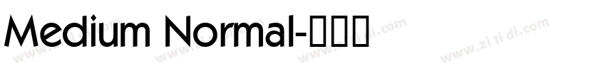 Medium Normal字体转换 Medium Normal字体转换